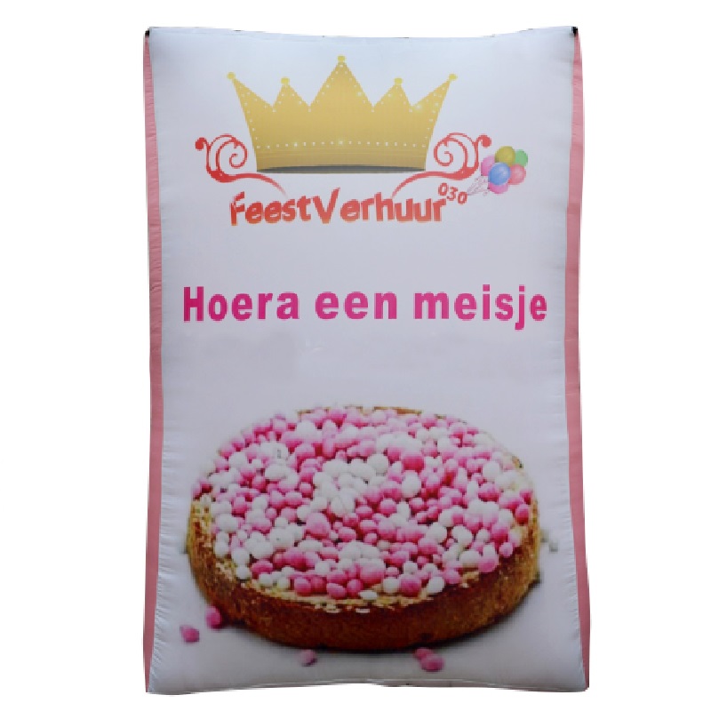 Opblaasbaar Pak Muisjes Roze Huren
